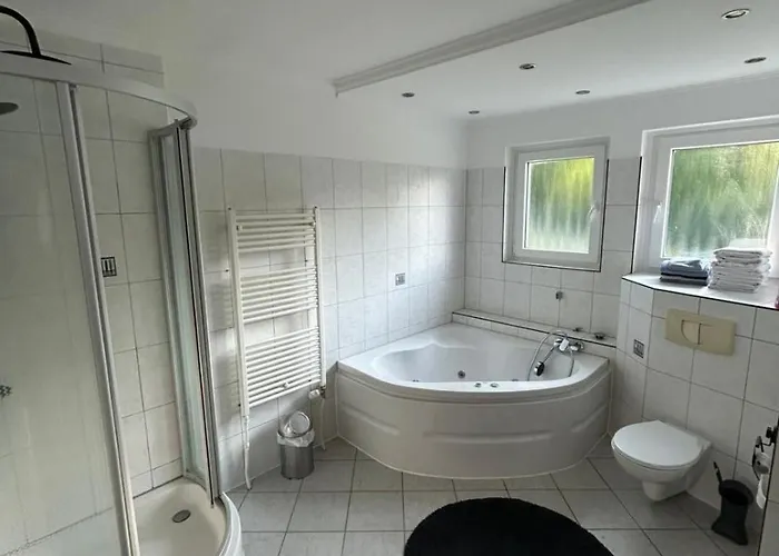 Lueneburger Heide 蒙斯特