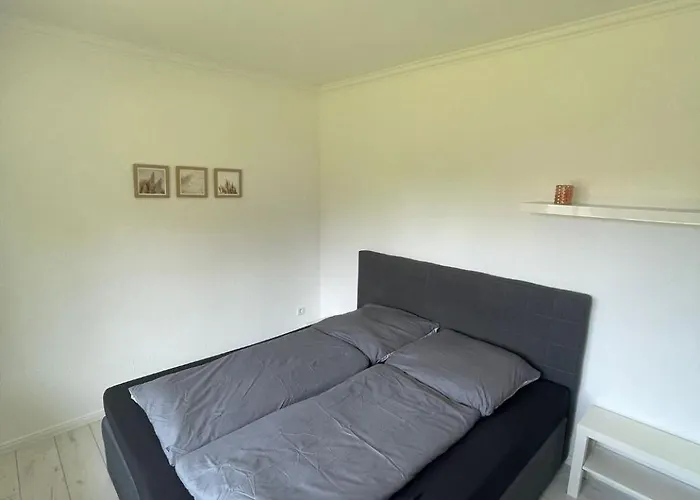 Lueneburger Heide 蒙斯特